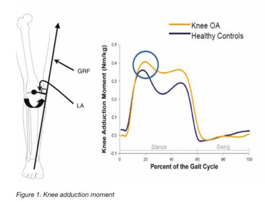 Ground reaction force and knee adduction moment across the gait cycle in knee osteoarthritis and healthy controls